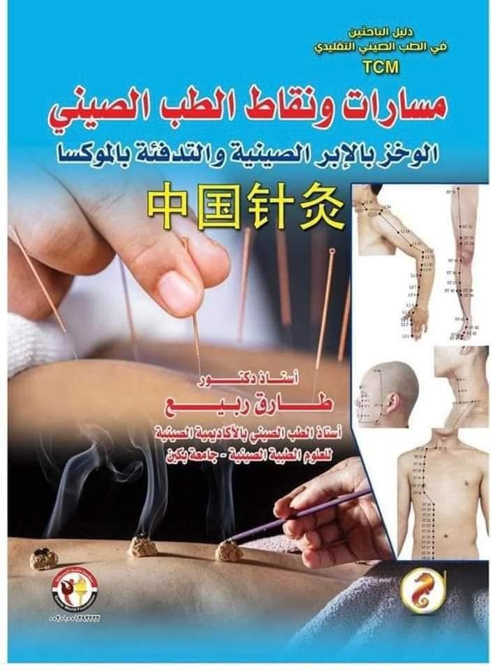 مسارات ونقاط الطب الصيني - الصورة 2